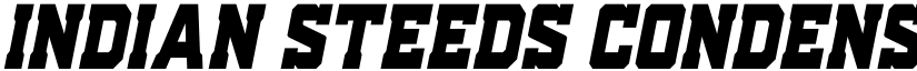 Indian Steeds Condensed Italic Regular font