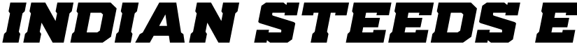 Indian Steeds Expanded Italic Regular font