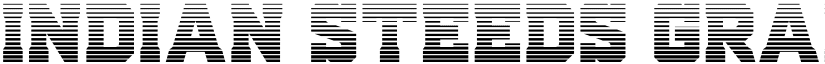 Indian Steeds Gradient Regular font