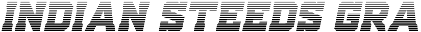 Indian Steeds Gradient Italic Regular font