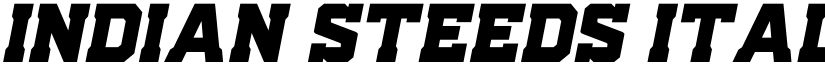 Indian Steeds Italic Regular font