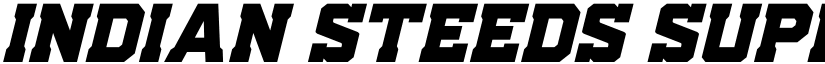 Indian Steeds Super-Italic Regular font