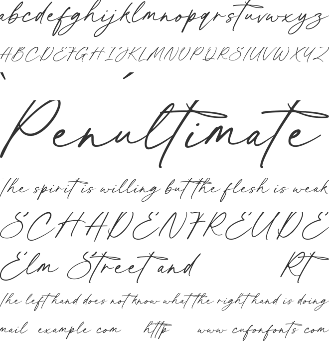 Ascendant Script - Personal Use font preview