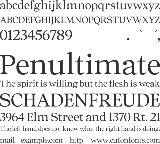 Ascendant Serif - Personal Use font preview