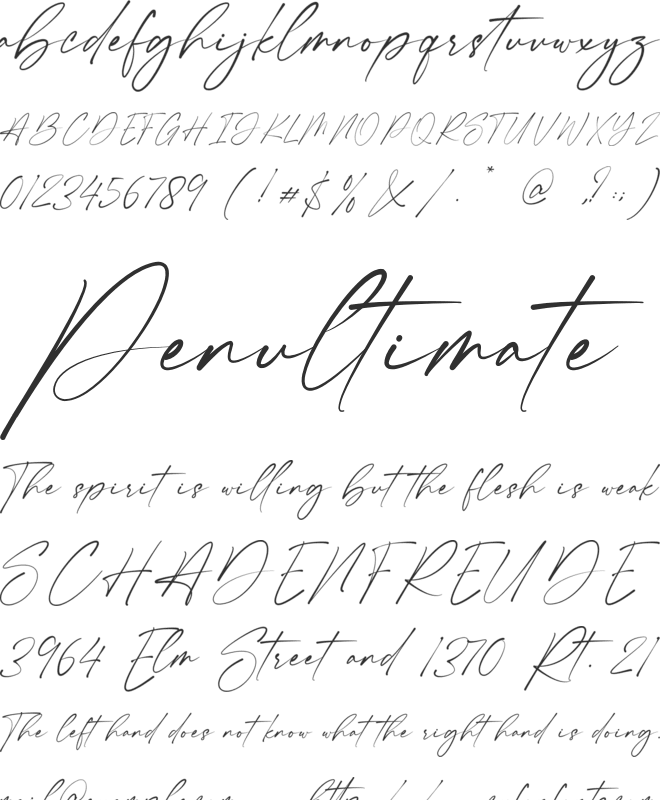 Shamson Signature font preview