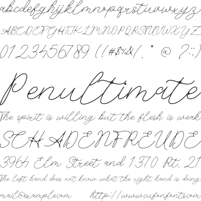 South Toronto font preview