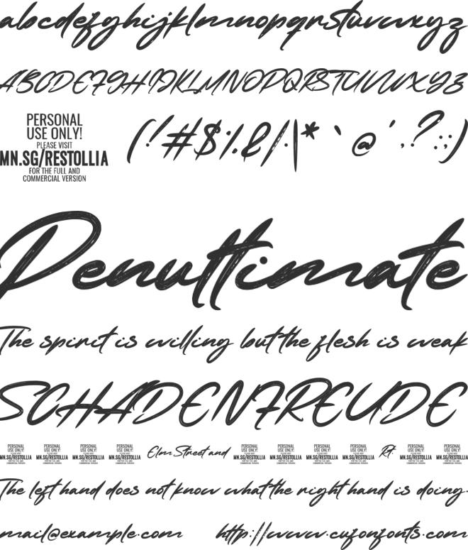 Restollia Script PERSONAL USE font preview