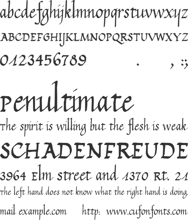 Calligraphy font preview
