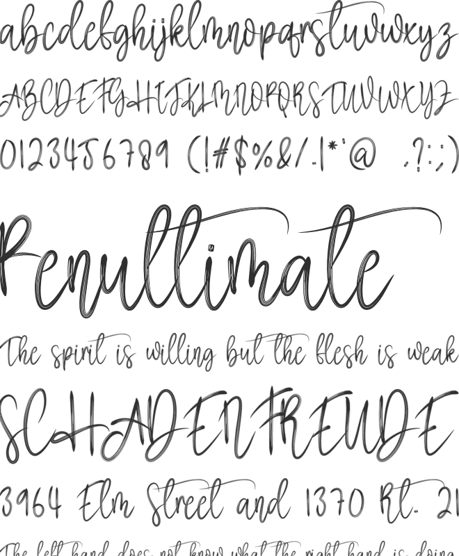 Hamster Signature font preview