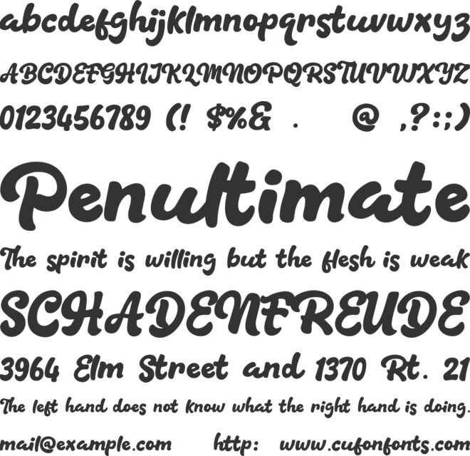 Blang Pidie font preview