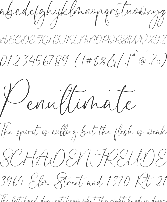 Disttoris Andarlin font preview
