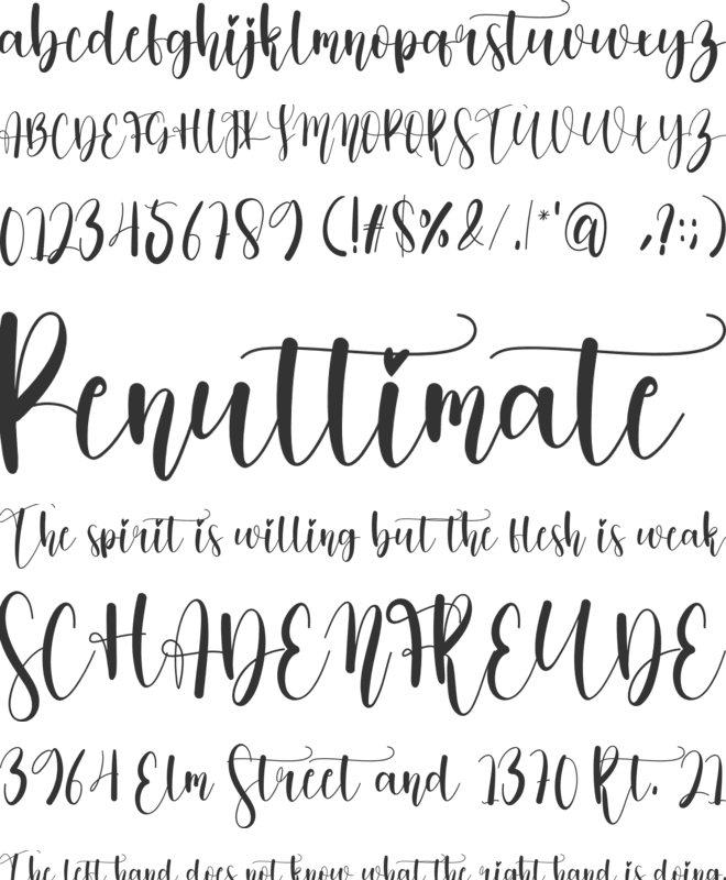 Mandala Absolute font preview