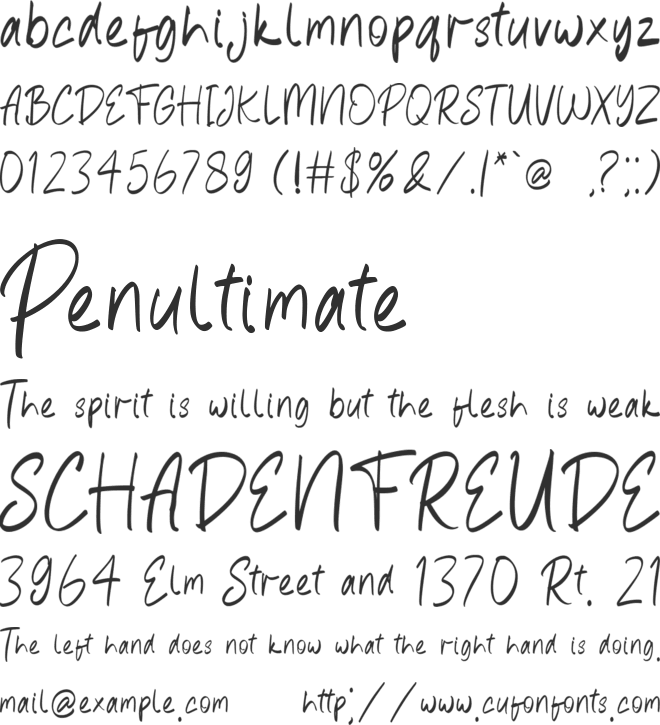 February Notes font preview