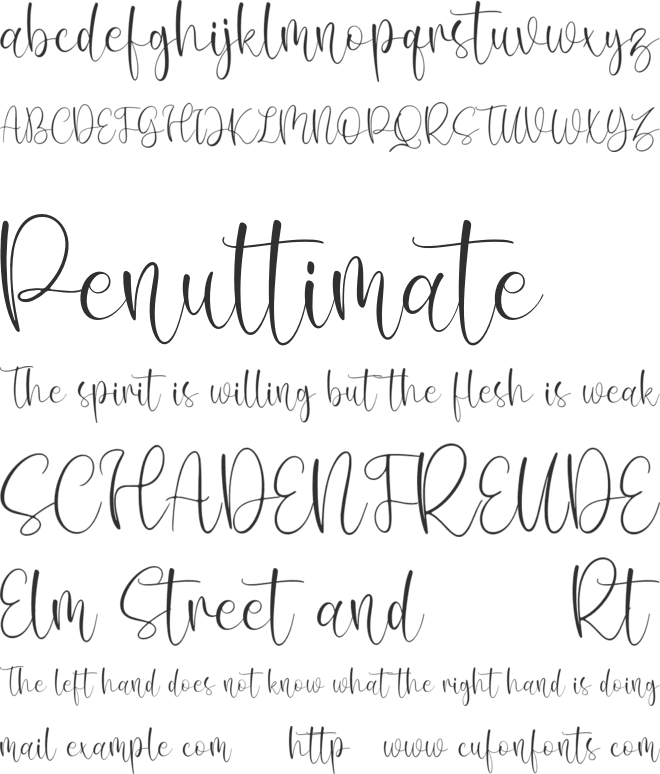 Winter Belly font preview