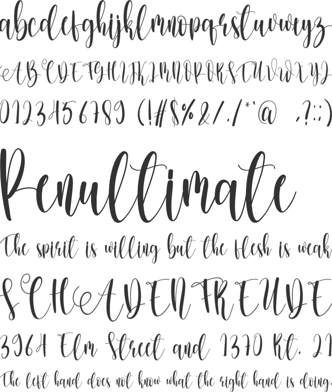 Morningtime font preview