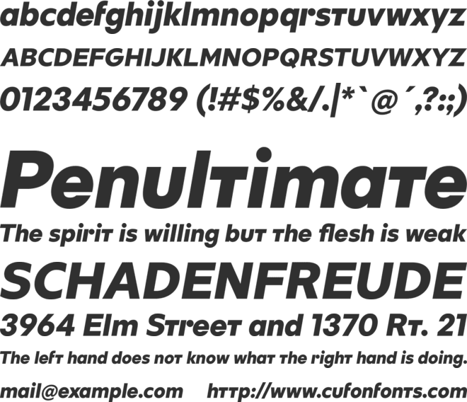 Turner New Bold font preview