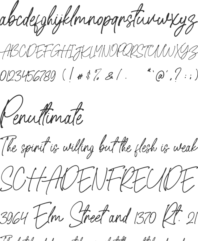 Differentiable font preview