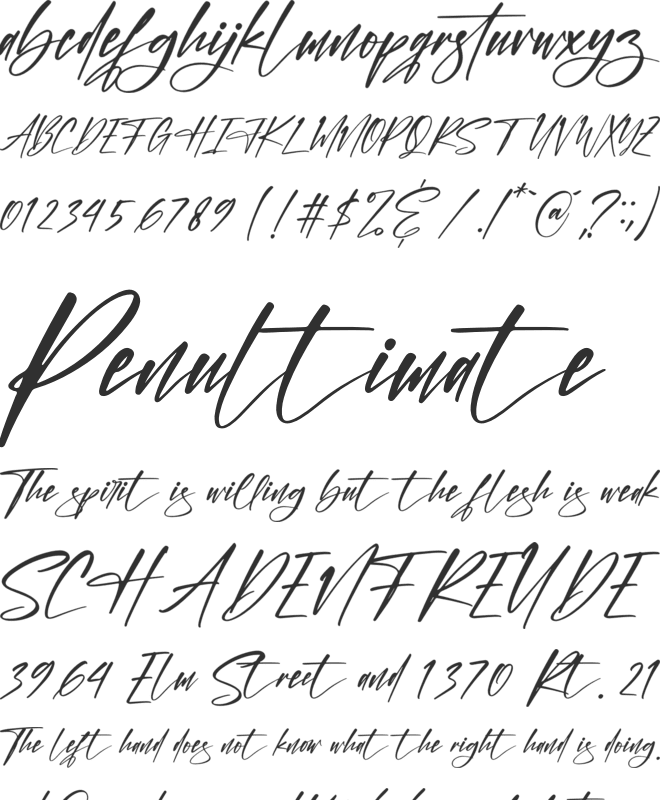 The Mondela Catalisa Script font preview