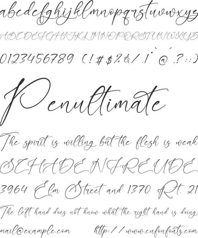 Aloruty Fortune font preview