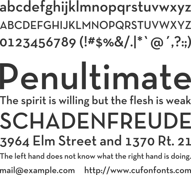 Neutra Text TF Light font preview