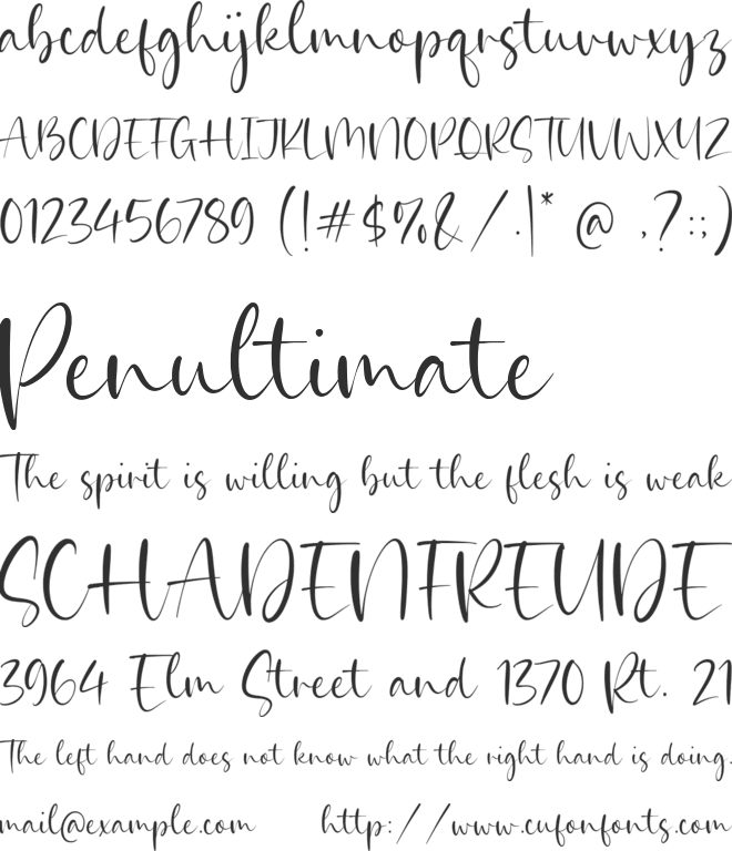 Fashion History font preview
