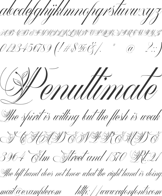 Mollani font preview