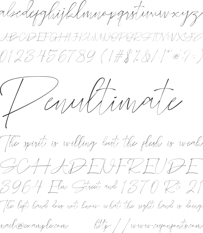 Porbhesa Signature font preview