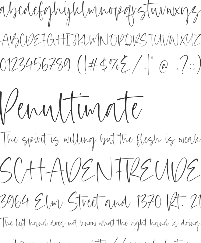 Gustavo Austin font preview