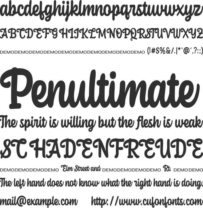 Salsify font preview