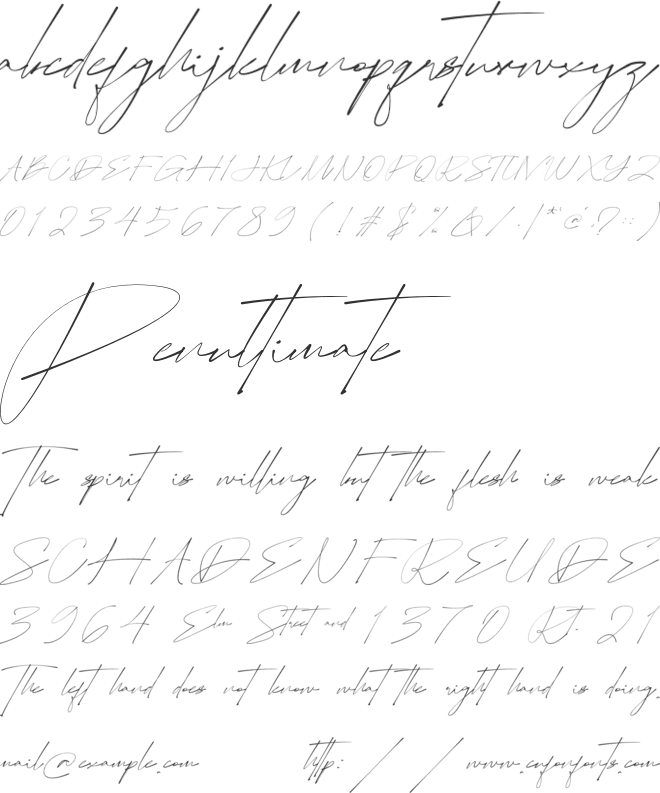 Easternation Signature font preview