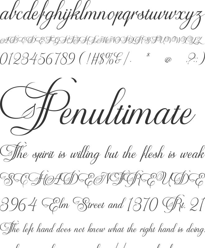 Virnature font preview