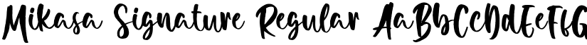 Mikasa Signature font download