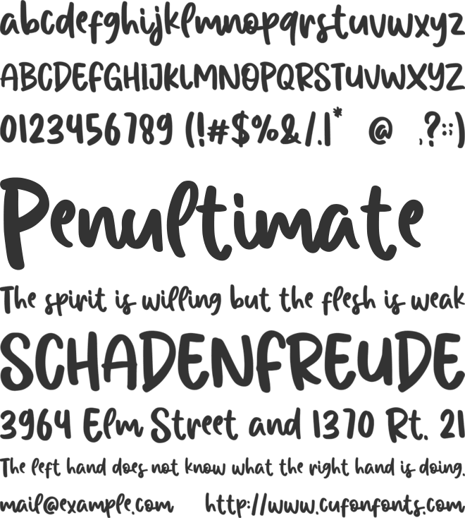 Renatta Willona font preview