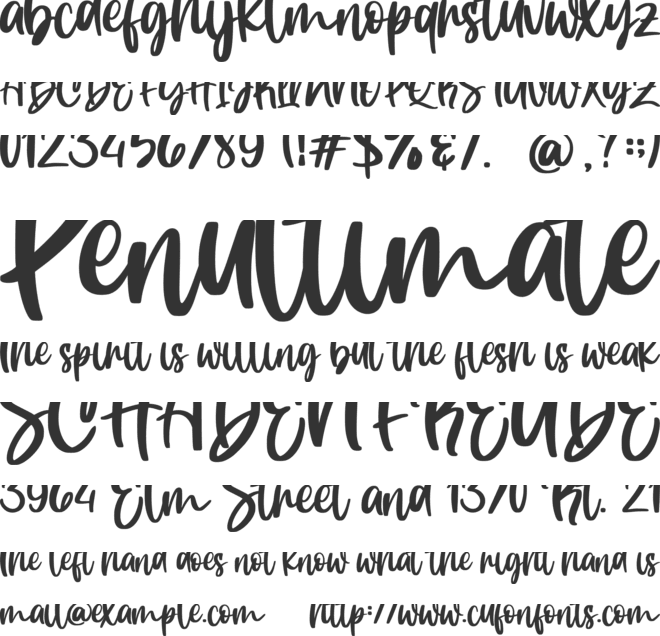 Duty Beauty font preview