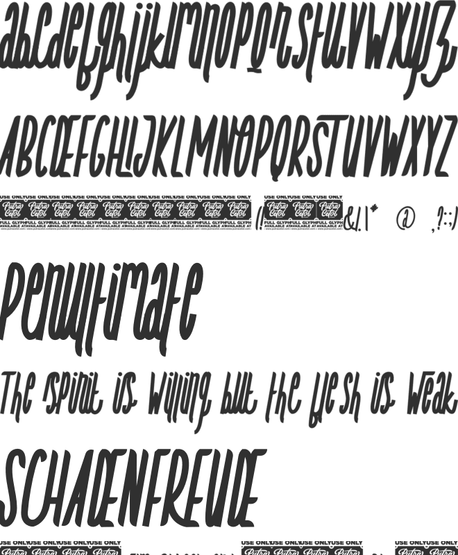 COUNTRY FOODY font preview