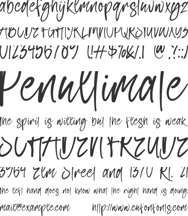 South Signature font preview