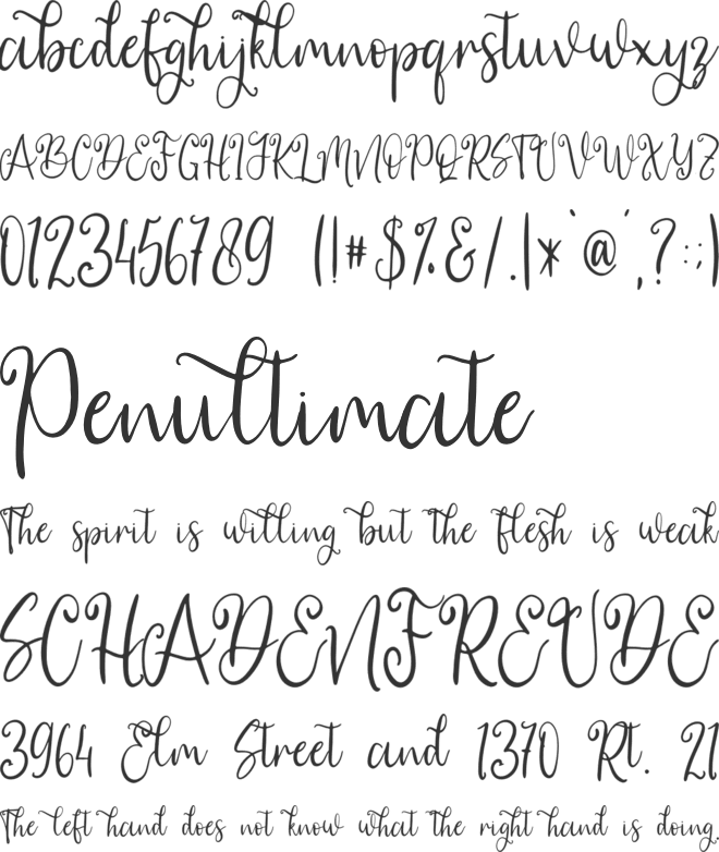 Berrylove - Personal Use font preview