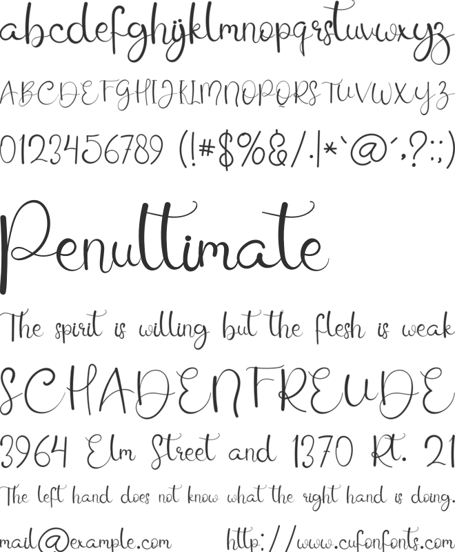 Winter Autography font preview