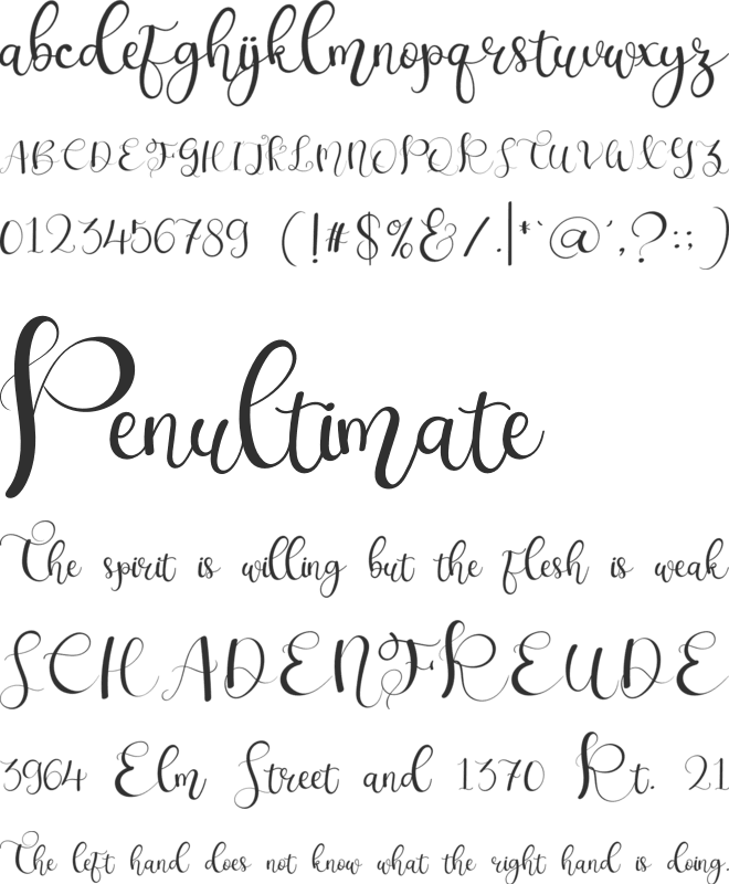 November Caligraphy font preview