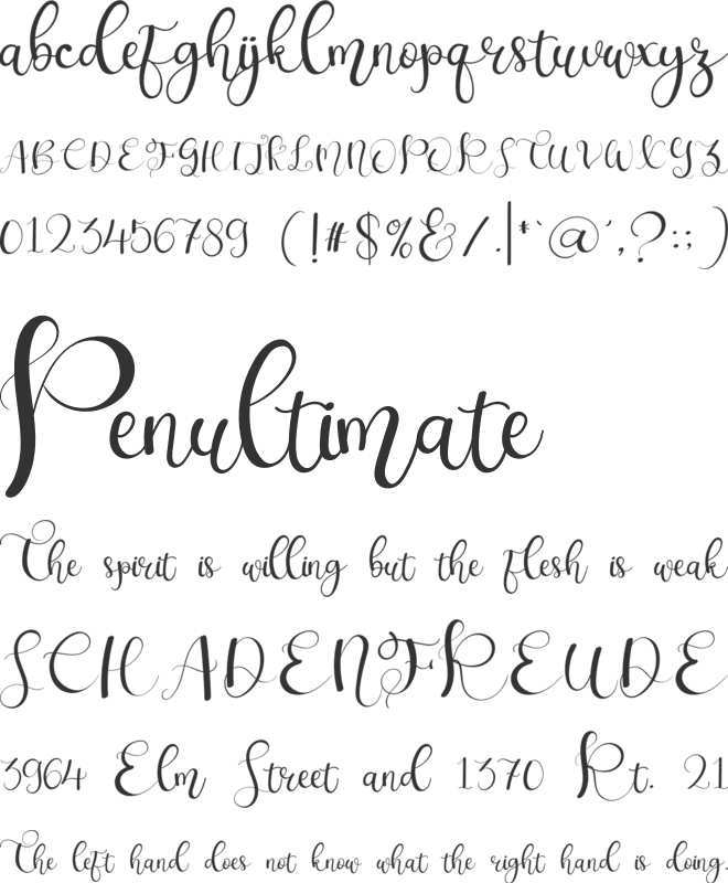 November Caligraphy font preview
