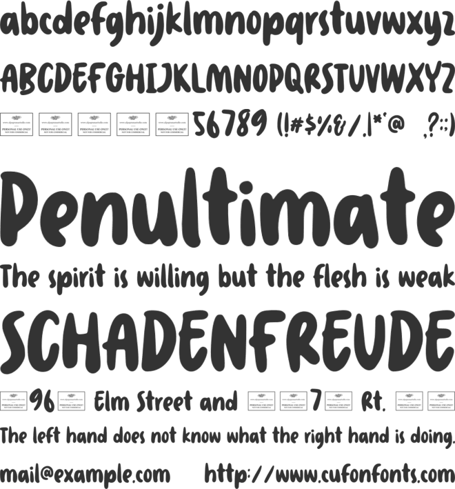 Windsurf font preview