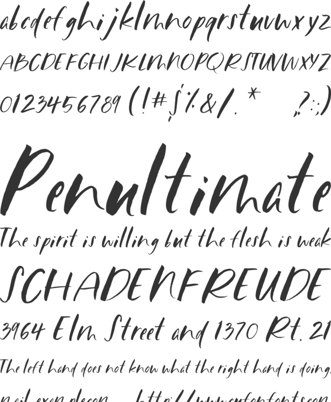 Chelsea Brush Handwriting_fa5ma font preview