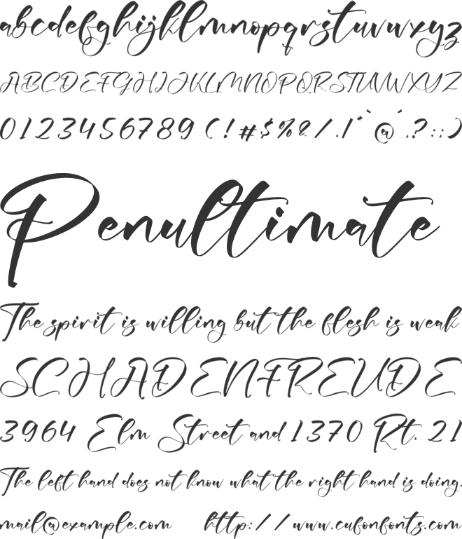 Mecknight font preview