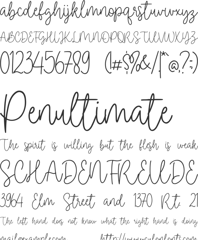 Clothingline font preview