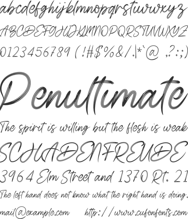Beltanira Signature font preview