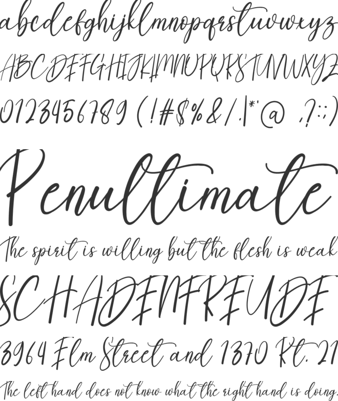 Sellinda font preview
