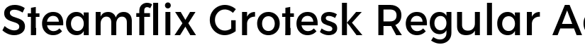 Steamflix Grotesk Regular font