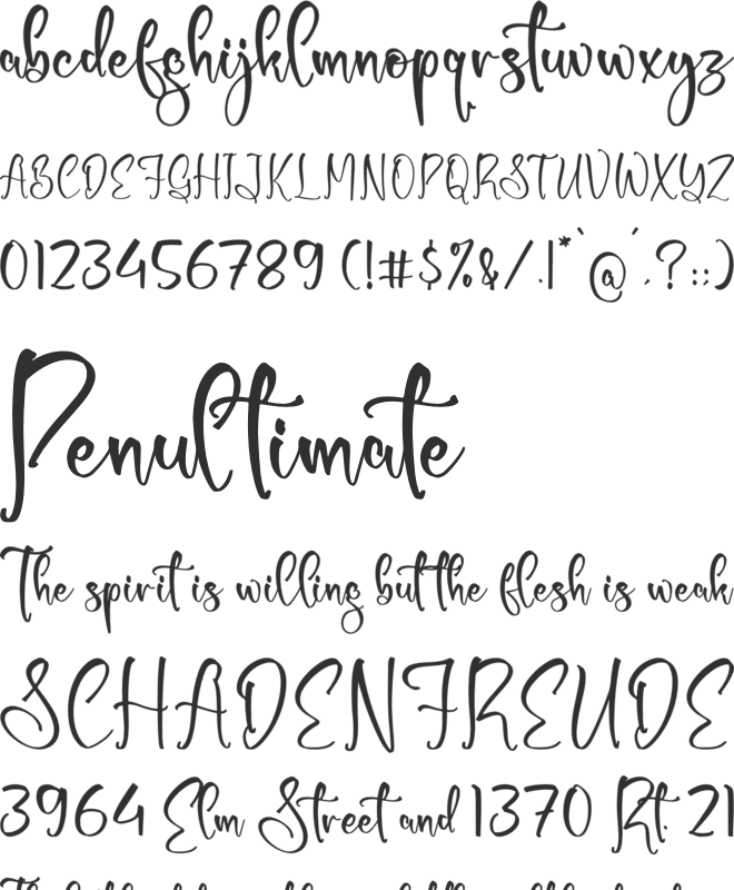 Shirlley Gilberta font preview