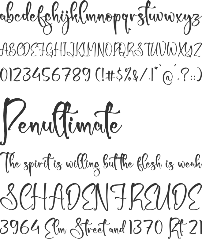 Shirlley Gilberta font preview
