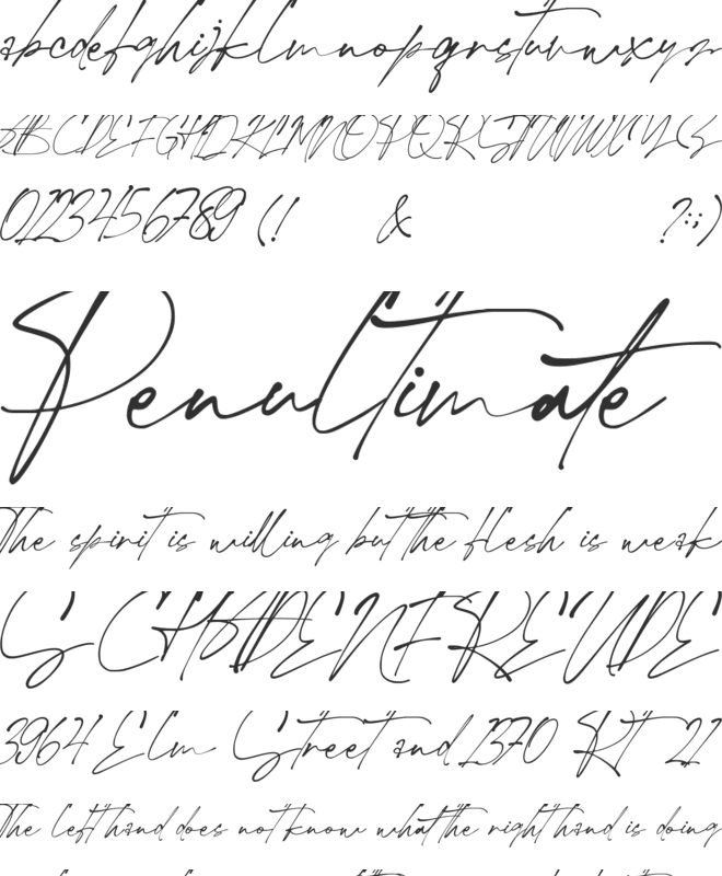 Hallimun Signature font preview